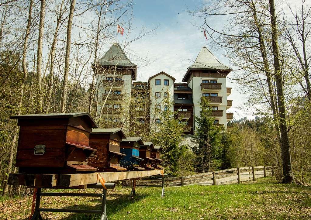 The Alpina Gstaad Hotel Eksteriør billede